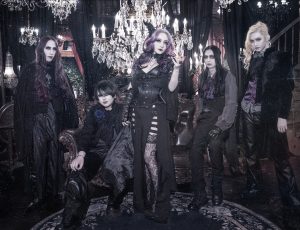 NEW MEMBER, NEW VISUAL